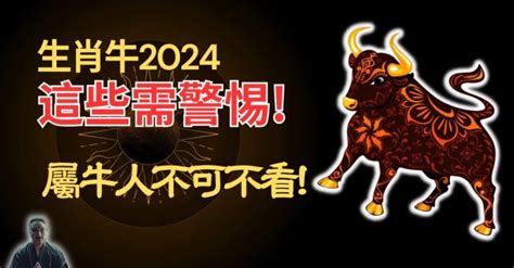 屬牛財運|2024年屬牛人的全年運勢（超詳細）